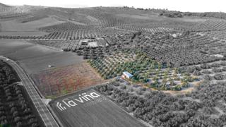 Finca rústica a Valle de Abdalajís. Ref.300125878 se vende finca rustica con nave de aperos en el va