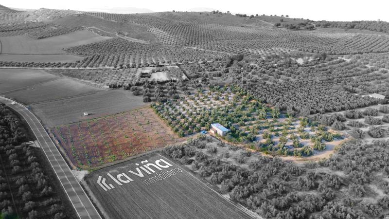 Foto c92e64de-8ae2-4301-bea6-84813cb8e2bc. Landgut in Valle de Abdalajís