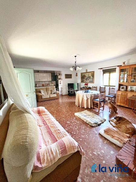 Foto 97196550-98b9-4490-bb36-b99dc1b72942. Fondo rustico in Priego de Córdoba