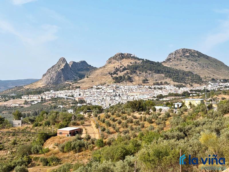 Foto 61ad1c33-47d9-46da-ae3e-1b74c4e70a46. Rural plot in Centro Antequera