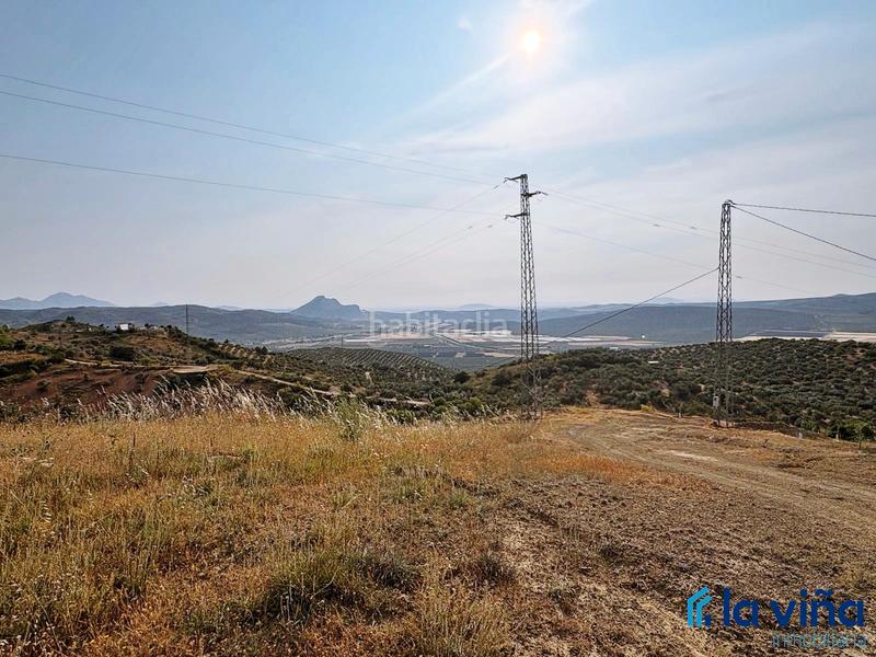 Foto 83a9d916-69a1-49d9-b844-78cf8d703c2b. Rural plot in Centro Antequera