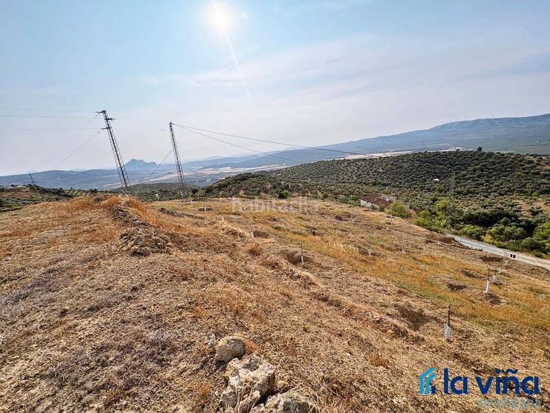 Foto 955818c1-107f-4bce-8544-1a4b141e0872. Rural plot in Centro Antequera