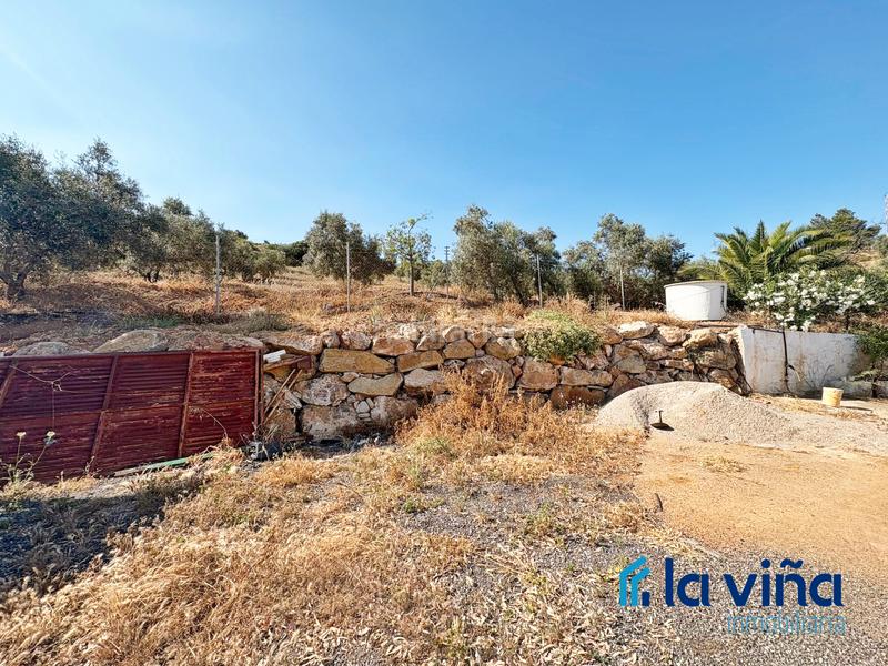 Foto 33dc37ce-e7ae-4874-a523-1b9252c663a7. Finca rústica a Cueva de Menga Antequera