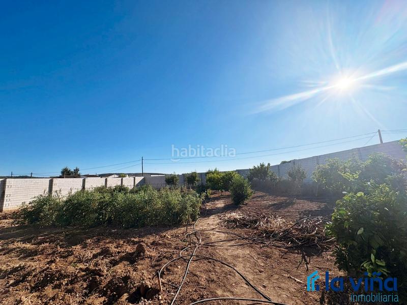 Foto 0bf18e8f-011c-4e79-a6b6-1b474a8554ae. Rural plot in Mollina