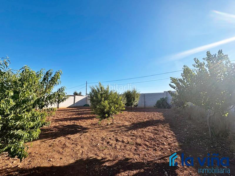 Foto 1a078e88-f9ae-4595-b84e-4b67d183b2ad. Rural plot in Mollina