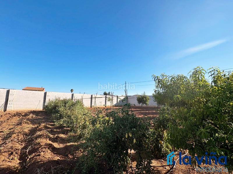 Foto 6aba7c1b-8eff-41e7-85b0-ce0c0390a119. Rural plot in Mollina