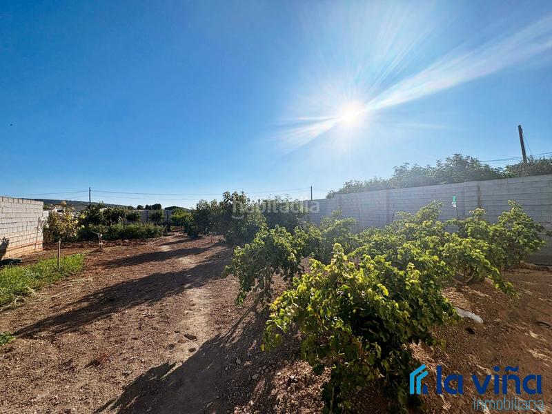 Foto 763a9ac3-e04c-4d65-ae89-f14a575a6ba3. Rural plot in Mollina