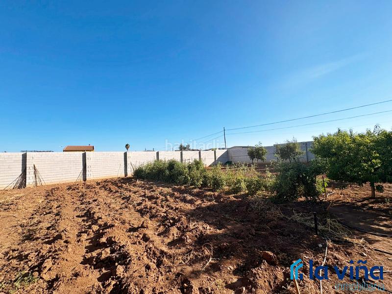 Foto 856f8506-1e71-48dc-b4e3-cc2b09d097f4. Rural plot in Mollina