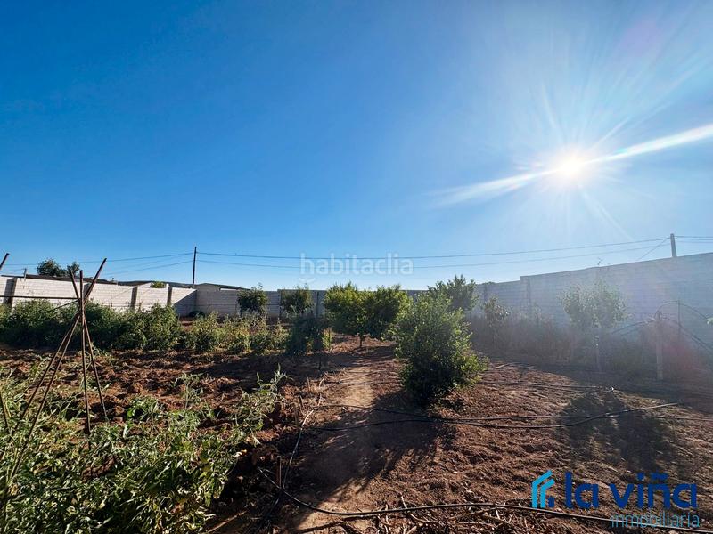 Foto c1dc3a8d-e0c5-49d6-9d0c-7e32770ca4c4. Rural plot in Mollina