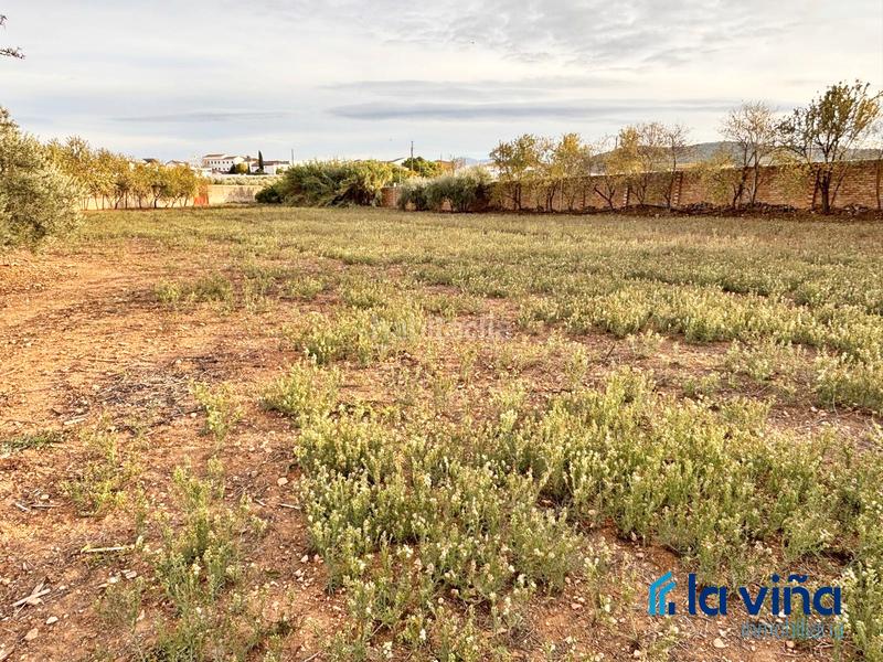 Foto 7949c5b7-9030-444a-a89a-0ef151de232f. Chalet avec cheminée dans Mollina