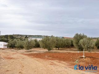 Terreno residenziale in Campillos. Ref: 201125990 se vende gran parcela de olivos + nave en campill