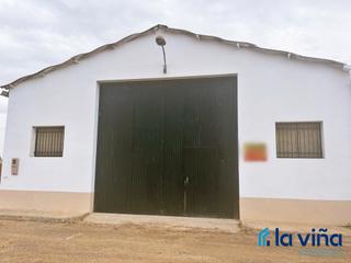 Fabrikhalle in Campillos. Ref: 251125996