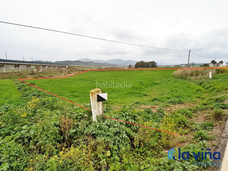 Foto 79df3619-3cdc-4cfc-96ba-dfb10b6bf7be. Finca rústica a Zona de la Vega Antequera