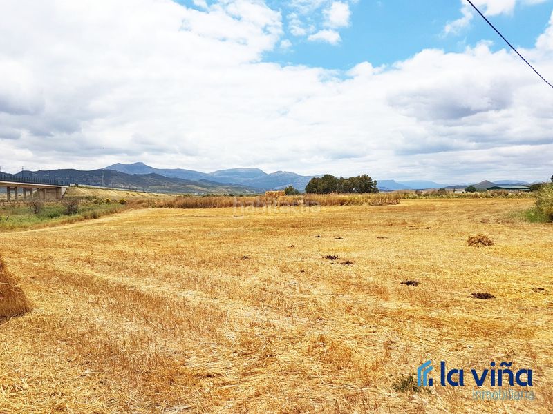Foto 88c7d6ab-39f2-49dc-a8ce-89e9863db1c9. Finca rústica a Zona de la Vega Antequera