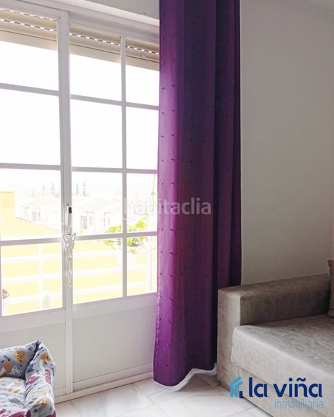 Foto ee524c04-c2d3-4b6b-a2db-071f79a23230. Pis a Campillos