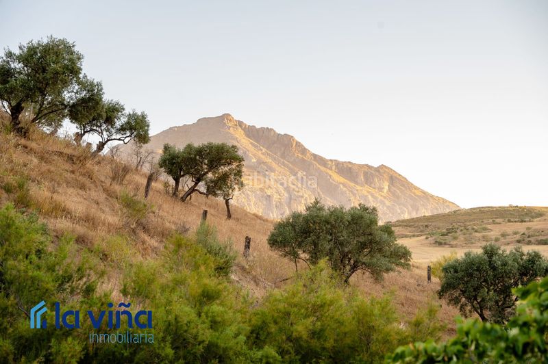 Foto 0852679b-abcb-4a9e-be67-98521752c674. Finca rústica a Bobadilla - Bobadilla Estación - La Joya Antequera