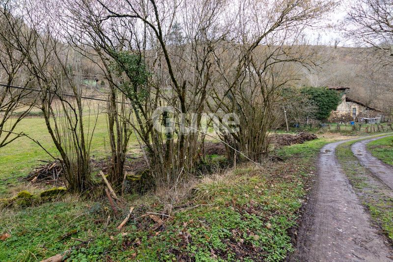 Foto dc574d0f-cecb-4116-aaf4-ae74173b28e1. House in Zumarraga