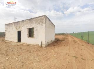 Terreny residencial a La Laguna. Campo con caseta agricola   zona cmaino del olivar