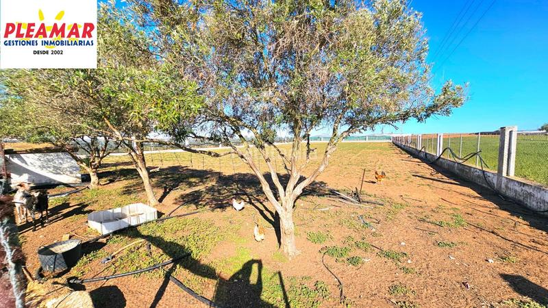 Foto 288a63dc-bbc3-4f7e-a7be-4bad5f257f14. House in Chipiona norte Chipiona