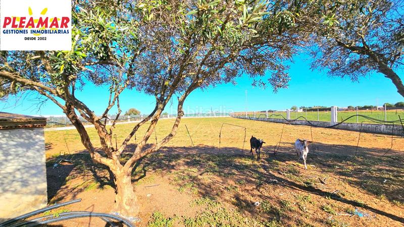 Foto a989ae02-3a5a-439f-9468-da010681a851. House in Chipiona norte Chipiona