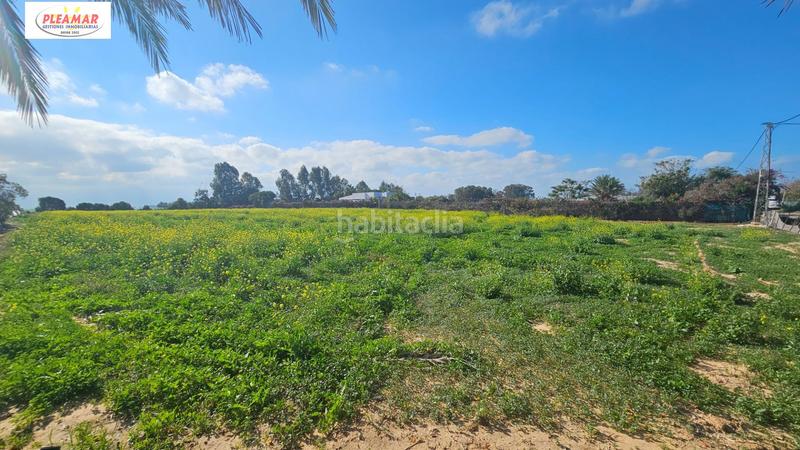 Foto 305979d8-844c-47bb-8bbc-432dd635e577. Finca rústica a Las Tres Piedras - Costa Ballena Chipiona