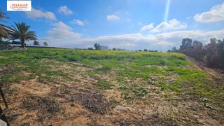 Finca rústica a Las Tres Piedras - Costa Ballena. Parcela rústica      zona pinar de la villa