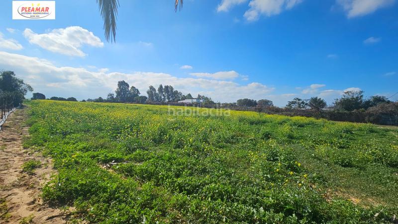 Foto e5b2346b-c095-434f-8e21-7c8078f5a17e. Finca rústica a Las Tres Piedras - Costa Ballena Chipiona