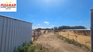 Finca rústica a Chipiona Norte. Finca rustica de  35.776 m2     zona el pinar de la villa