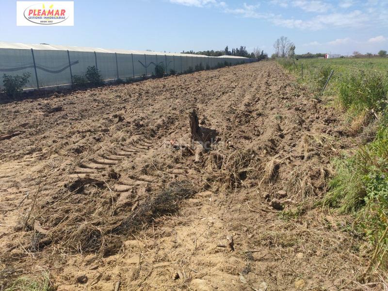 Foto 7b657982-f6b7-4614-835a-960e36964c8c. Terrain résidentiel dans Chipiona norte Chipiona