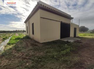 Terreny residencial a Chipiona Norte. Campo con nave de 50 m2      zona loma baja