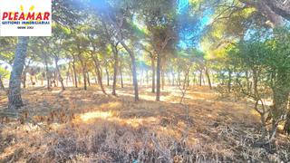 Finca rústica a Las Tres Piedras - Costa Ballena. Parcela rústica de 1.730m2 con construcción    zona  los majadal