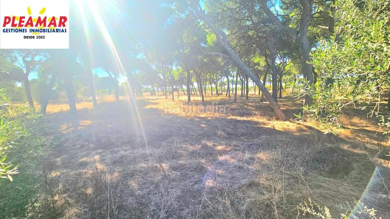 Foto 0195338c-d03f-4a20-9a59-973c8ee4a95d. Propriété dans Las Tres Piedras - Costa Ballena Chipiona