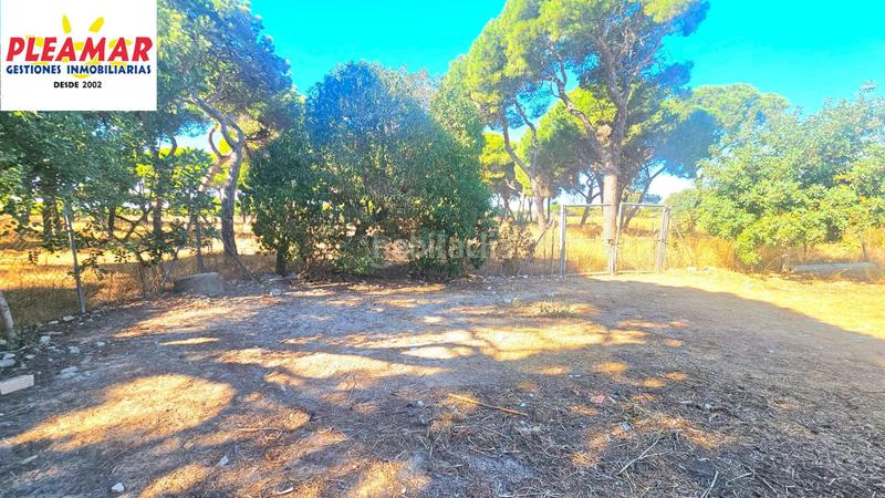 Foto 482eb8ed-22b5-46eb-9acb-f2ded89182af. Propriété dans Las Tres Piedras - Costa Ballena Chipiona