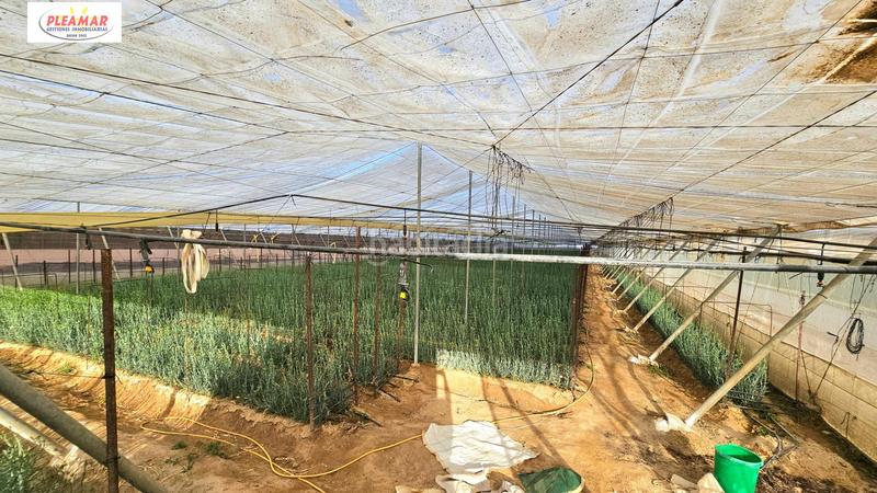 Foto 9a588b9d-9dfb-4d68-a05a-cb5f76abd2ca. Bauernhof in Chipiona norte Chipiona