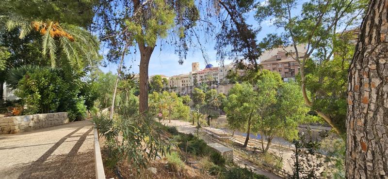 Foto 6667056d-b6bb-45b2-9062-f42b9b1966f8. Flat in Centro Elche / Elx