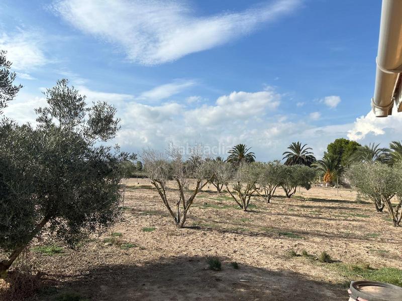 Foto 18a0d9db-71ad-45d4-8405-b896a8c5afef. Chalet espectacular chalet en zona la ursula carretera elchedolores en Elche / Elx