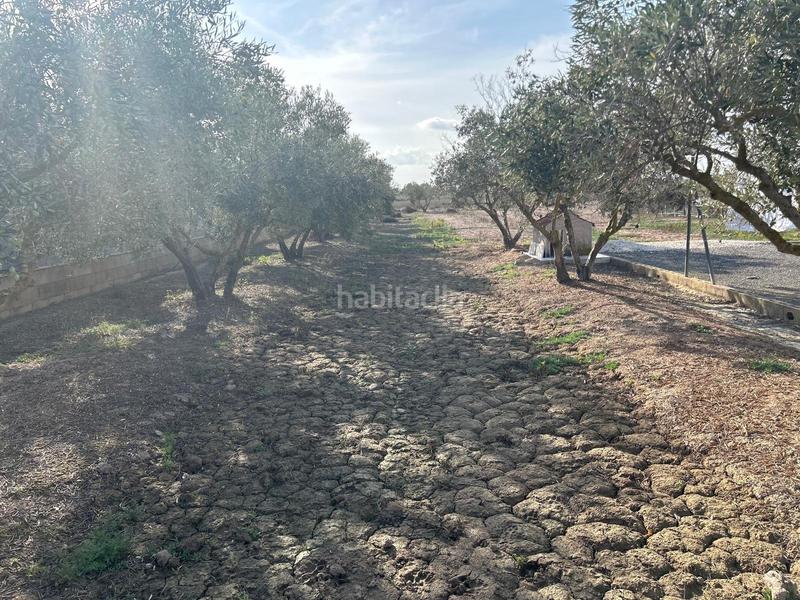 Foto 8171be62-ba0e-4a8f-b6ca-a25d2468f7e2. Chalet espectacular chalet en zona la ursula carretera elchedolores en Elche / Elx