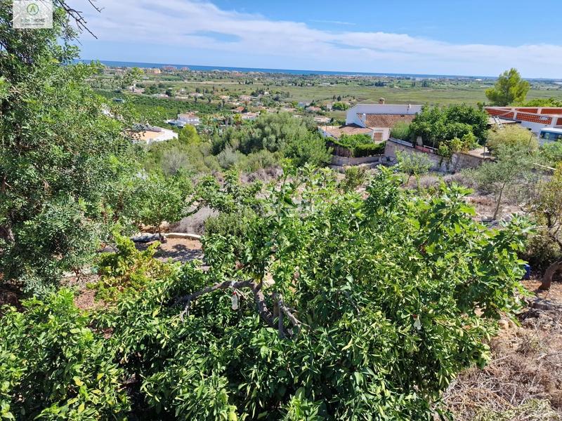 Foto 119565af-9648-4936-907b-bded22a362e0. Terreny residencial a Oliva pueblo Oliva