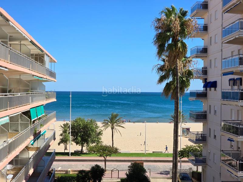 Foto a9ec9bdd-df86-4844-b359-aeab0ff5b914. Alquiler piso vacacional en Playa de Gandía Gandia