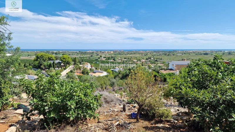 Foto 0c3b3632-e26d-45b7-bb1b-de54b2730019. Terreno residencial en Oliva pueblo Oliva