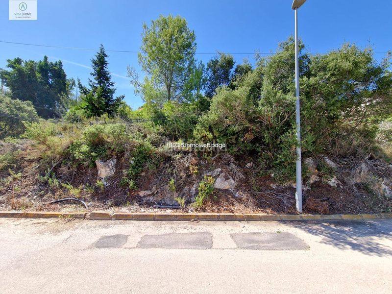 Foto 2da68352-cda0-463b-a543-be3a579d5b67. Terreno residencial en Oliva pueblo Oliva