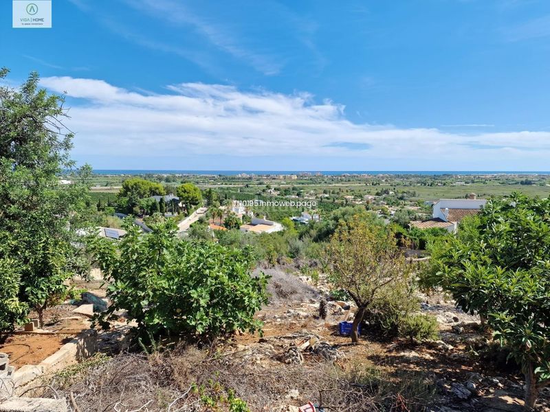 Foto a9411622-5894-4b34-a4ba-3ca116018421. Terreno residencial en Oliva pueblo Oliva