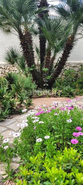 Foto 6b3f343b-887f-45a8-b056-0f19e58ead9c. Chalet avec parking piscine dans Urbanizaciones Gandia