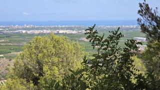 Terreno residencial en Font d´en Carròs (la). Parcelas urbanas en la font