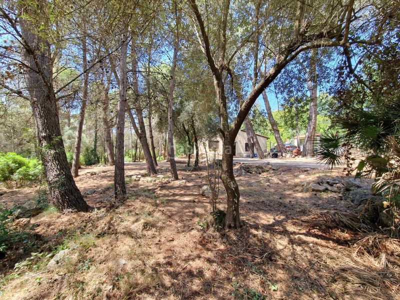 Foto f1082f9a-20f9-4bbf-a2b1-5d87d620dda5. Chalet in Vilallonga / Villalonga