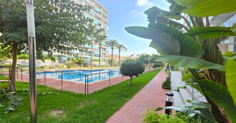 Foto 18469c42-653a-44bc-bd9c-1b07bffbdaf2. Pis amb piscina a Grau de Gandía-Marenys de Rafalcaid Gandia