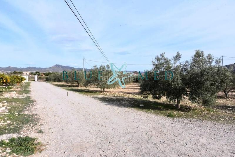 Foto 162d2e58-56cc-4e08-9626-a7979a617584. Casa finca con casa grande, parcela y arboles frutales en Mazarrón