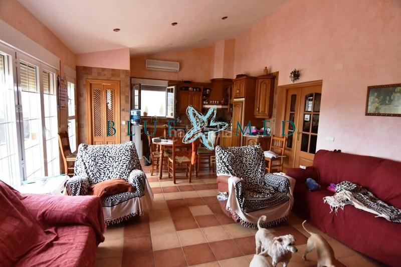 Foto 1eae216f-b6a0-46f0-bdb3-4bf81795def0. Casa finca con casa grande, parcela y arboles frutales en Mazarrón