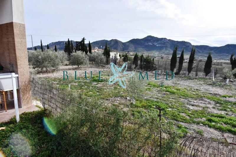 Foto bcf74f25-8301-4c9f-a07a-162b90f6fcac. Casa finca con casa grande, parcela y arboles frutales en Mazarrón