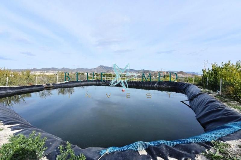 Foto e159ebfc-d7fc-4edc-83d2-da3924dc8c2e. Casa finca con casa grande, parcela y arboles frutales en Mazarrón